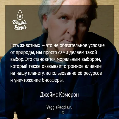 Джеймс Кэмерон рассказал, когда в прокат выйдет новый «Аватар» - Новости  Петербурга - Общественный Контроль