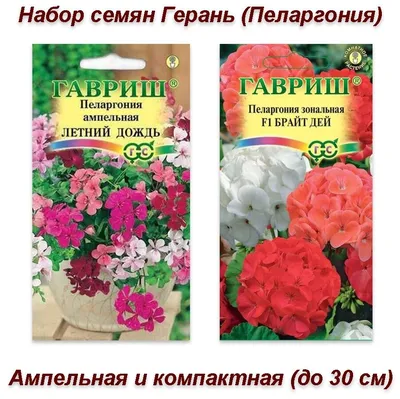 Семена, набор семян комнатные цветы Герань (Пеларгония) ампельная и  компактная, 2 пакета — купить в интернет-магазине по низкой цене на Яндекс  Маркете