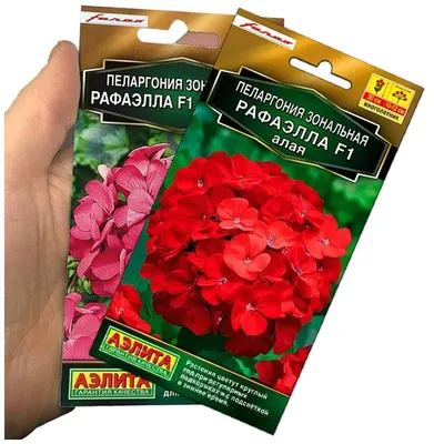 Герань набор два пакета. 10 семян. Пеларгония рафаэлло розовая и алая. —  купить в интернет-магазине по низкой цене на Яндекс Маркете
