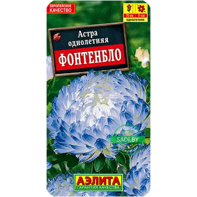 Купить астра Фонтенбло 0,2 г семена с доставкой почтой по Беларуси