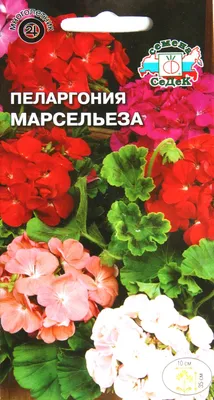 Купить семена Пеларгония (герань) Марсельеза (СеДеК) по цене от 75 руб в  Орле