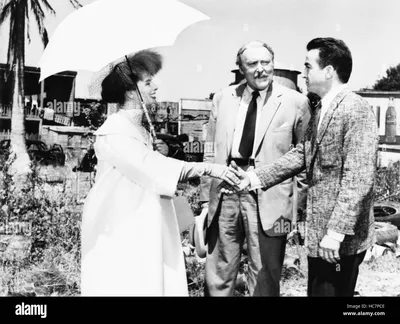 SUDDENLY LAST SUMMER, from left, Katharine Hepburn, Albert Dekker,  Montgomery Clift, 1959 Stock Photo - Alamy