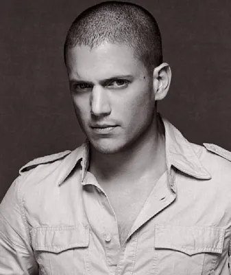 Обои Вентворт Миллер, красавчик, Wentworth Miller картинки на рабочий стол, раздел мужчины - скачать