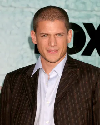 157 Wentworth Miller: изображения, стоковые фотографии и векторная графика | Шаттерсток