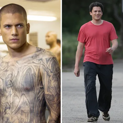 Wentworth Miller - Steckbrief, News, Bilder | ГАЛА.de