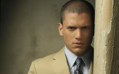 Файл:WentWorth Miller Comic com 2016.jpg — Викисклад