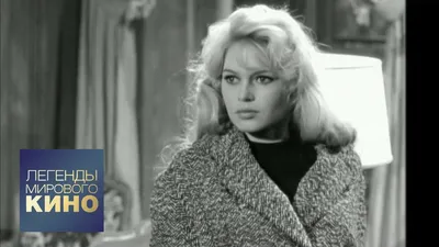 Секс-символу 1960-х Брижит Бардо — 87. Как живет и выглядит знаменитая  дерзкая блондинка | Passion.ru