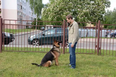 Агентство городских новостей «Москва» - Фотобанк