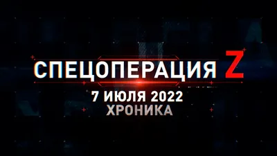 Границы дозволенного, или Слово – не беспилотник