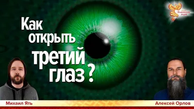 ДЕКАБРИСТ МИХАИЛ ОРЛОВ - КРИТИК «ИСТОРИИ» Н.М.КАРАМЗИНА