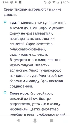 Ольга Смирнова on Instagram: “Задача за отпуск- разбавить свою рабочую  красно-белую ленту фотографиями из обычной жизни. А то уже и у меня  ощущения, что живу на работе…”