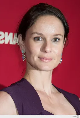 Сара Уэйн Кэллис (Sarah Wayne Callies) | ВКонтакте