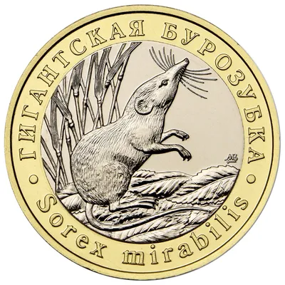 Монетовидный жетон «Гигантская бурозубка» 2019 - «МастерВижн»