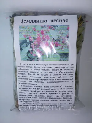 Земляника лесная, сушеная трава, 30 грамм, цена 25 грн — Prom.ua (ID#1215227162)