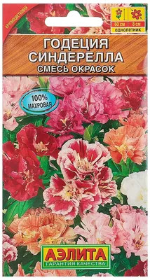 Семена цветов Годеция \"Синдерелла\" крупноцветковая махровая, смесь окрасок,  О, 0,3 г — купить в интернет-магазине по низкой цене на Яндекс Маркете