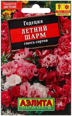 Семена Цветов Годеция Летний шарм, смесь сортов --- Одн 0,1г Лидер — купить  в интернет-магазине по низкой цене на Яндекс Маркете