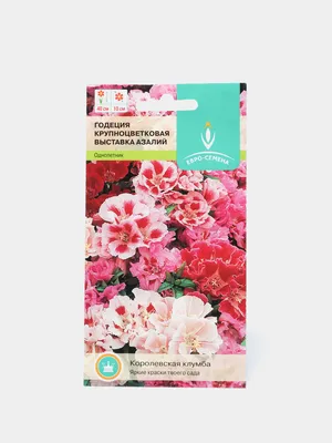 Годеция Выставка азалий 0,25г / Семена цветов за 109 ₽ купить в  интернет-магазине KazanExpress