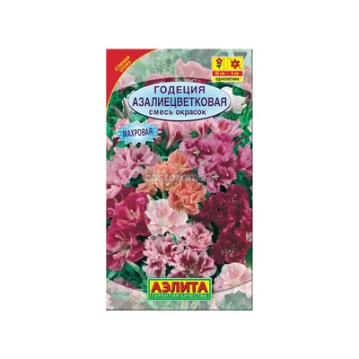 Семена Годеция азалиецветковая, смесь купите по низкой цене в  интернет-магазине Castorama