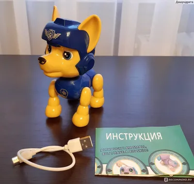 Dison Интерактивная игрушка Гонщик \"Щенячий патруль\" (Патрульная собака) -  «Отличный подарок ребёнку - поклоннику м/ф \"Щенячий патруль\"» | отзывы