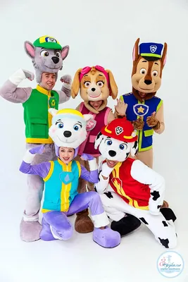 Детское шоу в стиле Щенячего Патруля, праздник для детей в костюмах Ская и  Гонщика в СПб