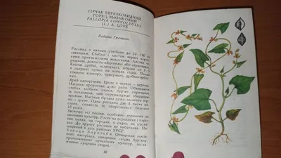Спутники культурных растений: 50 грн. - Книги / журналы Одесса на Olx