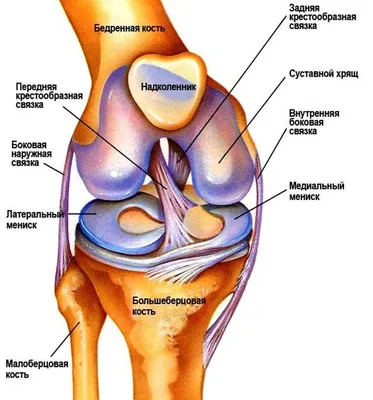 Повреждение (травма) мениска коленного сустава, виды, лечение, операция,  симптомы
