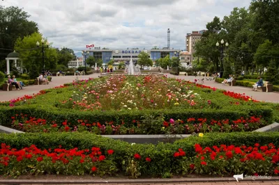Цветущий город: 350 тысяч цветов украсили Южно-Сахалинск за лето -  SakhalinMedia