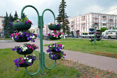 Более 300 тысяч тюльпанов расцветают на клумбах в Городском округе Подольск  | Администрация Городского округа Подольск