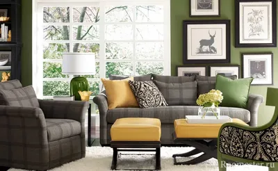 Дизайн гостиной в зеленых тонах, сочетание цветов и фото интерьеров
