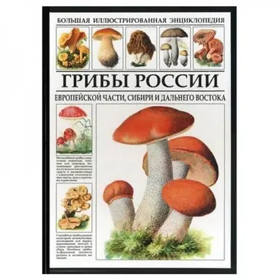 Грибы России. Европейской части, Сибири и Дальнего Востока. Большая  иллюстрированная энциклопедия