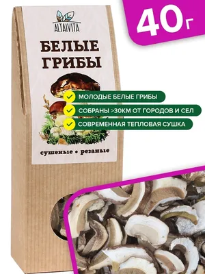 Source Naturals, Грибная иммунная защита, комплекс из 16 грибов, 120  таблеток купить в Москве