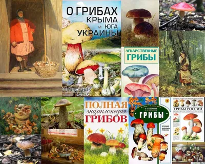 БЕЛЫЙ ГРИБ ЕЛОВЫЙ (обыкновенный) и его формы - Михаил Вишневский