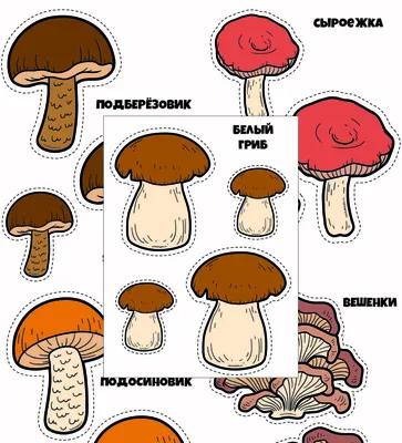 Съедобные грибы - картинки для вырезания. Серия 9 листов