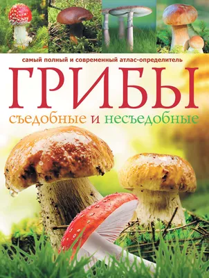 Грибы. Съедобные и несъедобные: Самый полный и современный  атлас-определитель», А. Б. Поленов – скачать pdf на ЛитРес