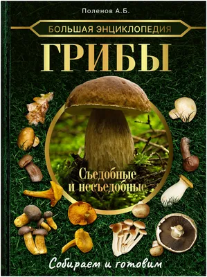 Это нужно знать каждому: как выглядят ядовитые двойники съедобных грибов |  Журнал WDAY