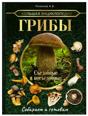 Большая энциклопедия. грибы. съедобные и несъедобные. собираем и готовим —  купить по низкой цене на Яндекс Маркете