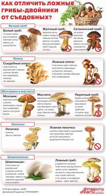Опасные близнецы. Как отличить ложные грибы-двойники от съедобных? |  ЗДОРОВЬЕ | АиФ Новосибирск
