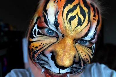Набор красок для тигра — купить по низкой цене на Яндекс Маркете