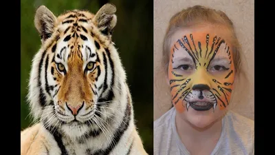 Как нарисовать тигра цвета морской волны на лице ребенка поэтапно для начинающих? Раскрашивание рисунков лица для мальчиков: тигр
