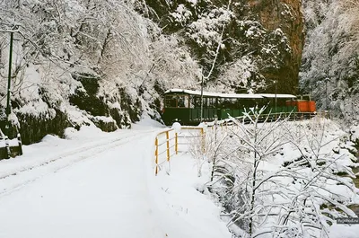 Гуамское ущелье: поезд, экскурсия, гуляем зимой • Югоход