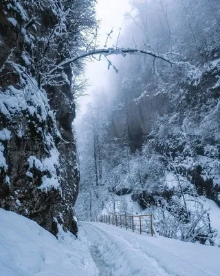 Гуамское ущелье зимой фото