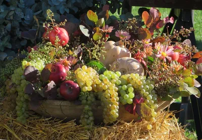 Фруктовая корзина с ягодами “Дары природы” — магазин подарков Макс-ГИФТ