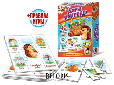 Деревянная рамка-вкладыш Дары природы Фрукты Step Puzzle 89005 купить в  Евпатории по цене 393 руб., фото, отзывы