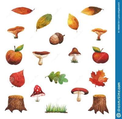 Осенью дары природы. иллюстрация штока. иллюстрации насчитывающей элемент -  198566729
