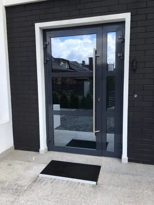 Входные стеклянные двери для частного дома
