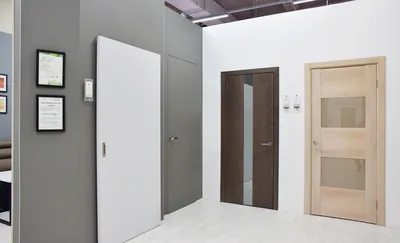 Невидимые межкомнатные двери со скрытым коробом и под покраску:  преимущества и недостатки | Блог Rada Doors