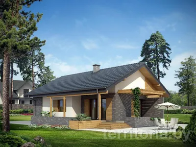 Проект одноэтажного дома без гаража с двухскатной крышей ATUT купить в  Минске на Territoria.by