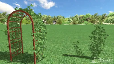 База растений «Девичий виноград 3d» для Realtime Landscaping Architect |  flokus.ru - ландшафтный дизайн