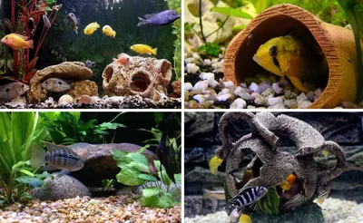 Грот для аквариума своими руками: варианты, как выбрать