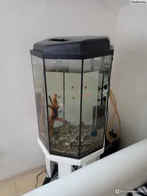 Аквариум Goldfish Призма с крышкой 100 литров - «Красивый, но не удобный.  Полное (раз)очарование 🐠 Все плюсы и минусы необычного аквариума» | отзывы